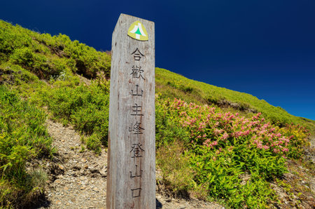 Taiwan, SEP 19 2013 - Sunny landscape of the trailhead of Hehuanshan mountain