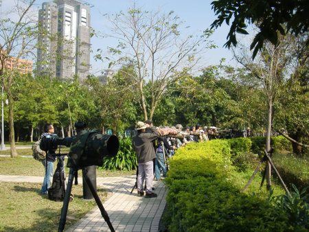 Taipei, JAN 27 2010 - Many photographer with big telephoto lens waiting for birdのeditorial素材