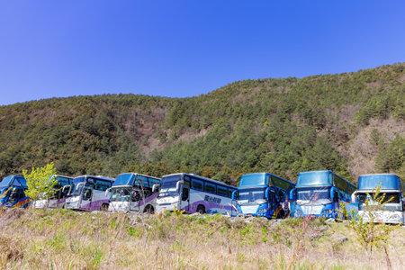 Taiwan, FEB 15 2013 - Sunny view of many bus in Wuling Farmのeditorial素材