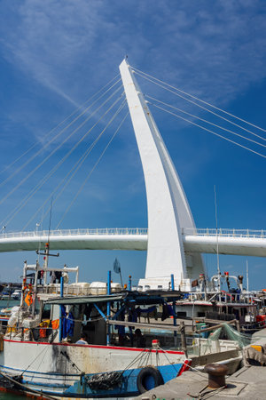 Taipei, FEB 11 2010 - Sunny view of the Lover's Bridge of Tamsui Fisherman's Wharfのeditorial素材