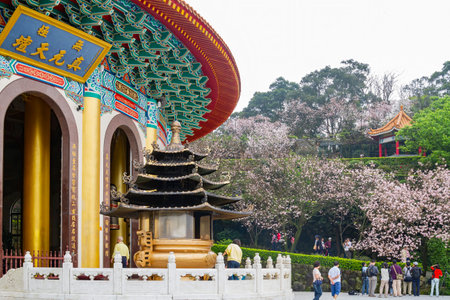 Taiwan, MAR 5 2010 - Hazy view of cherry blossom in Wuji Tianyuan Templeのeditorial素材