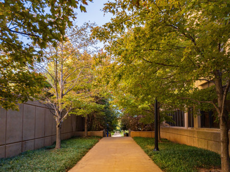 Sunny view of the fall color of OUHSC at Oklahomaの写真素材