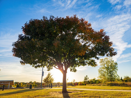 Sunny landscape of the YMCA PARK at Oklahoma