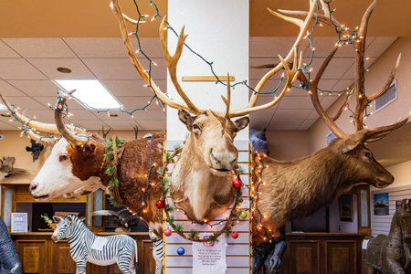 New Mexico, NOV 24 2022 - Get a glimpse inside a gift shop filled with a diverse range of merchandise, located near the Carlsbad Caverns National Parkのeditorial素材