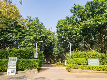Taipei, DEC 23 2022 - Sunny view of the Daan Forest Parkのeditorial素材