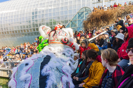 Oklahoma, JAN 21 2023 - Lion dance performance in the Lunar New Year Festivalのeditorial素材