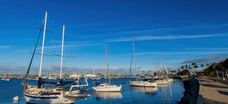 San Diego, FEB 24 2023 - Sunny view of the San Diego Bay with many shipsのeditorial素材