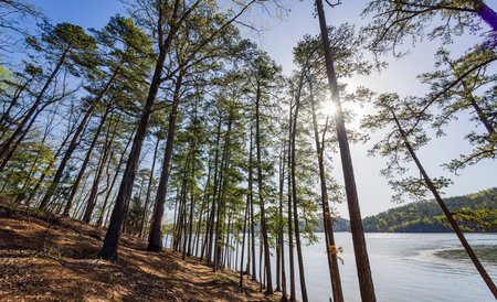 Sunny view of the landscape of Broken Bow Lake in Beavers Bend State Park at Oklahomaの写真素材