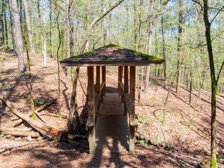 Sunny view of the Lookout Mountain Trail landscape of Beavers Bend State Park at Oklahomaの写真素材