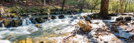 Sunny view of the Lookout Mountain Trail landscape of Beavers Bend State Park at Oklahomaの写真素材