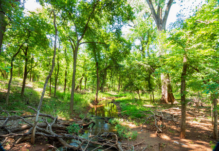 Sunny exterior view of the landscape of Martin Park Nature Center at Oklahomaの写真素材