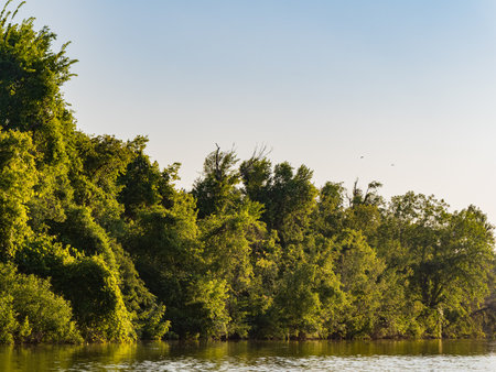 Sunny landscape of Lake Overholser at Oklahomaの写真素材