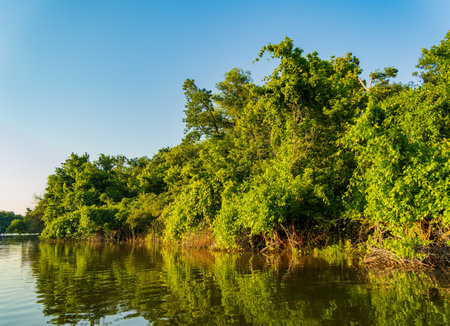 Sunny landscape of Lake Overholser at Oklahomaの写真素材