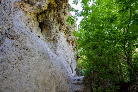 Sunny view of the landscape of the Rifle Falls at Coloradoの写真素材