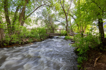 Sunny view of the landscape of the Rifle Falls at Coloradoの写真素材