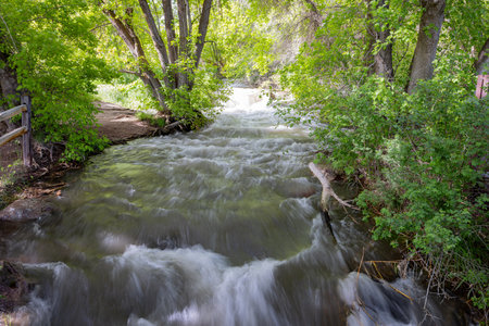 Sunny view of the landscape of the Rifle Falls at Coloradoの写真素材