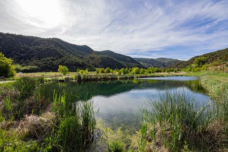 Sunny view of the landscape of the Rifle Falls at Coloradoの写真素材