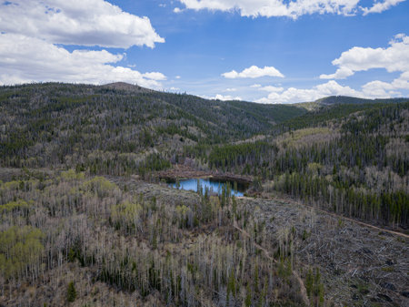 Aerial view of the landscape along Rainbow Lake Trail at Coloradoの写真素材