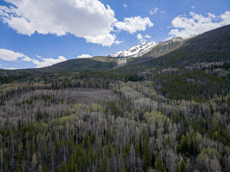 Aerial view of the landscape along Rainbow Lake Trail at Coloradoの写真素材