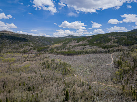Aerial view of the landscape along Rainbow Lake Trail at Coloradoの写真素材