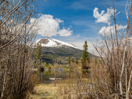 Sunny view of the landscape along Rainbow Lake Trail at Coloradoの写真素材