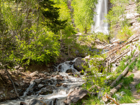 Sunny view of the Cascade Falls landscape in Ouray at Coloradoの写真素材