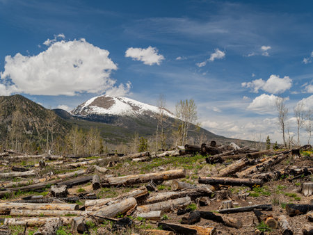 Sunny view of the landscape along Rainbow Lake Trail at Coloradoの写真素材