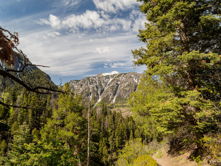 Sunny view of landscape around Ouray at Coloradoの写真素材