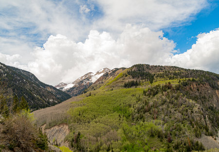 Sunny view of the landscape of Mt Sneffels at Coloradoの写真素材