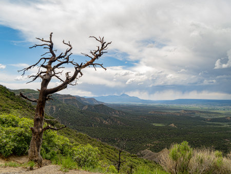 High angle view of the Mancos landscape at Coloradoの写真素材