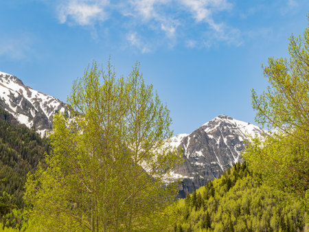 Sunny view of the mountain landscape around Telluride at Coloradoの写真素材