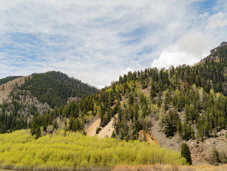 Sunny view of the landscape of Mt Sneffels at Coloradoの写真素材