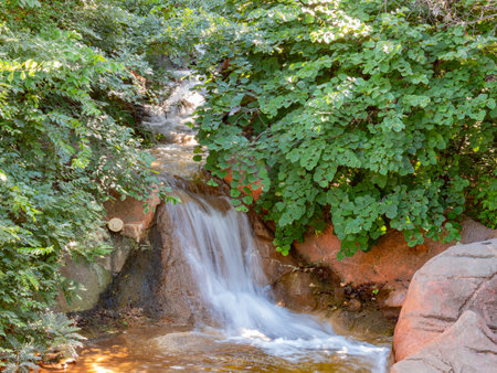 Sunny view of a waterfall in zoo at Oklahomaの写真素材