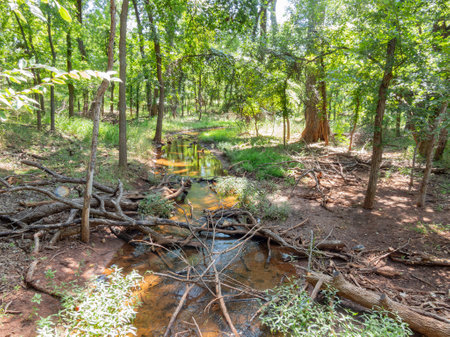 Sunny view of the lanscape of Martin Nature Park at Oklahomaの写真素材
