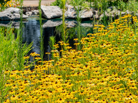 Sunny view of the garden of Philbrook Museum of Art at Tulsa, Oklahomaの写真素材
