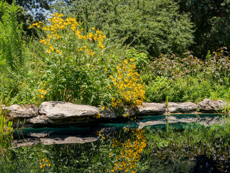 Sunny view of the garden of Philbrook Museum of Art at Tulsa, Oklahomaの写真素材