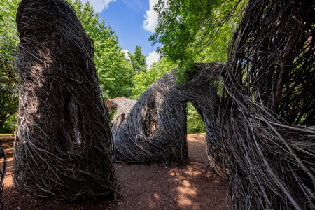 Exterior view of the garden of Fort Worth Botanic Garden at Texasの写真素材