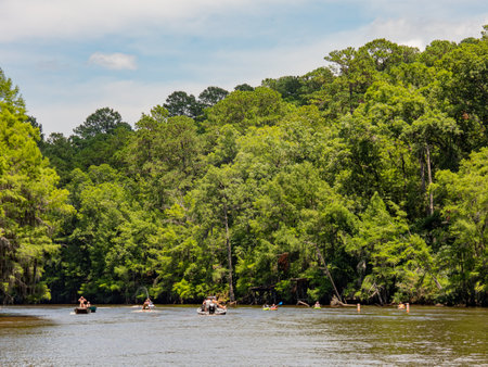 People playing boat in Caddo Lake State Park at Texasの写真素材