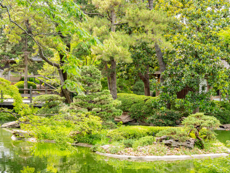 Exterior view of the garden of Fort Worth Botanic Garden at Texasの写真素材