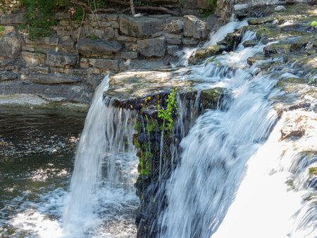 Sunny view of the landscape of Prairie Creek Park at Texasの写真素材