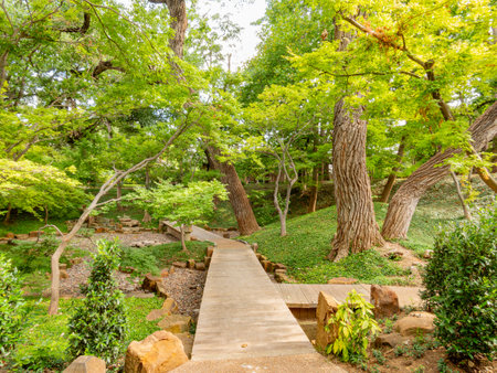 Exterior view of the garden of Fort Worth Botanic Garden at Texasの写真素材