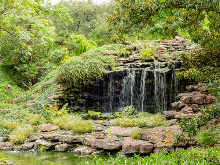Exterior view of the garden of Fort Worth Botanic Garden at Texasの写真素材