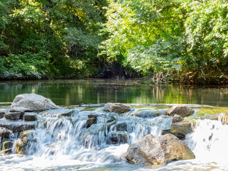 Sunny view of the landscape of Prairie Creek Park at Texasの写真素材