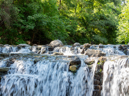 Sunny view of the landscape of Prairie Creek Park at Texasの写真素材