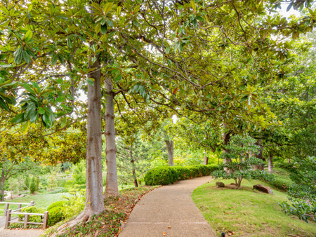 Exterior view of the garden of Fort Worth Botanic Garden at Texasの写真素材
