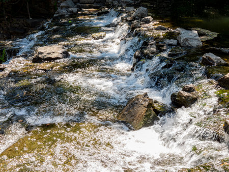 Sunny view of the landscape of Prairie Creek Park at Texasの写真素材