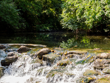 Sunny view of the landscape of Prairie Creek Park at Texasの写真素材