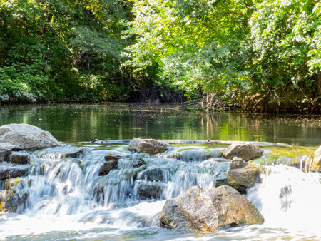 Sunny view of the landscape of Prairie Creek Park at Texasの写真素材