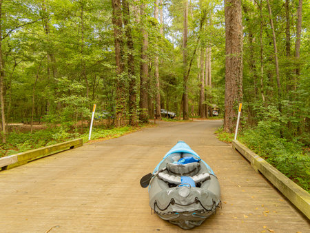 Kayak on ground in Caddo Lake State Park at Texasの写真素材