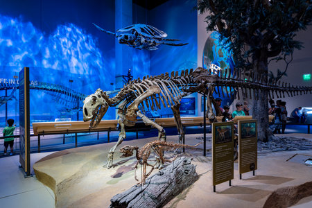 Texas, JUL 3 2023 - Interior view of the Perot Museum of Nature and Scienceのeditorial素材